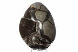 Septarian Dragon Egg Geode - Sparkly Black Crystals #383843-1